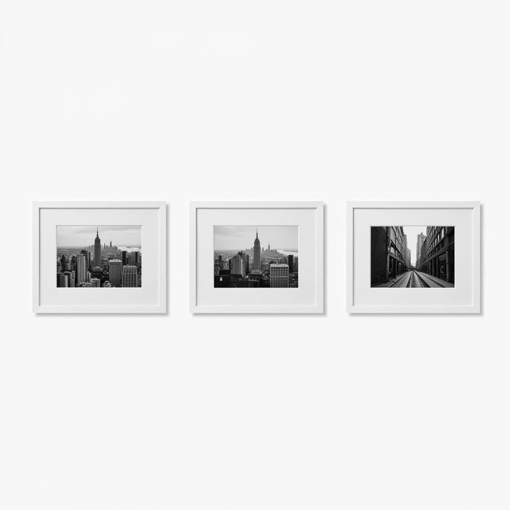 3 Set Framed Art: Black and White Photography Collection