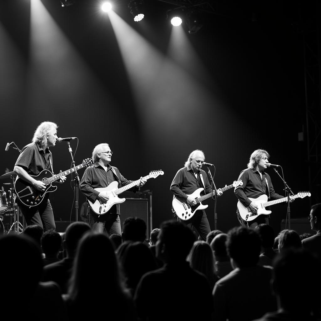 The Allman Brothers Band performing live on stage