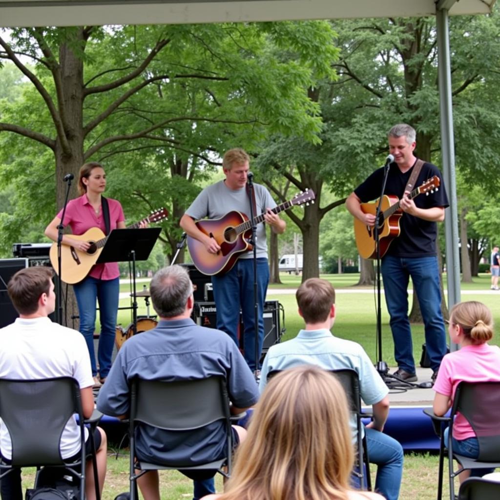 Live music performance at Art in the Park Brooksville