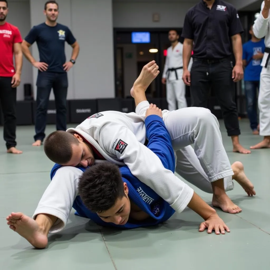 Brazilian Jiu-Jitsu Classes in Jonesboro, AR