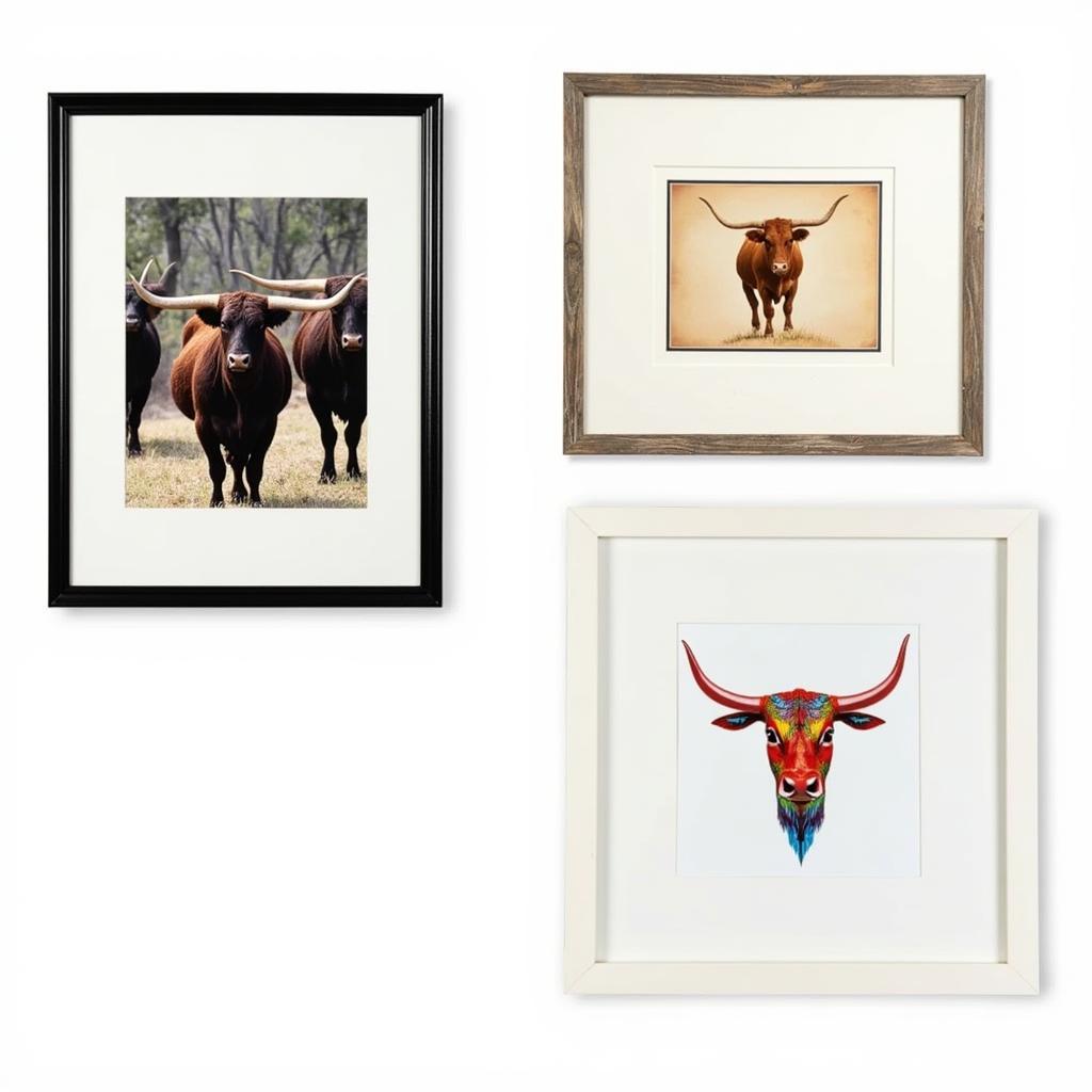 Framing and Displaying Longhorn Art Prints