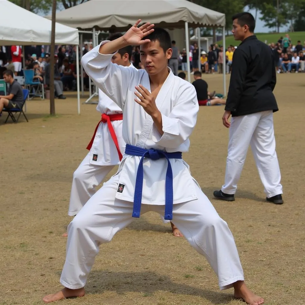 Martial Arts Demonstrations at the International Festival