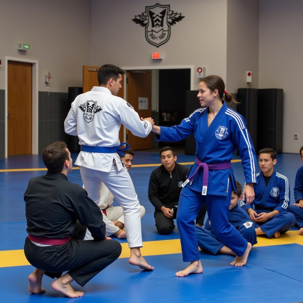 Luyện tập Jiu Jitsu Arte Suave