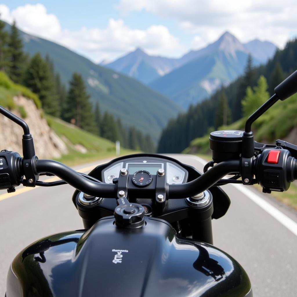 Alloy Art Stabilizer Mounted on a Sportbike