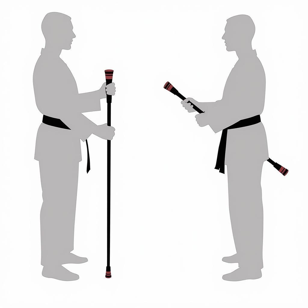 Correct Grip and Stance for Martial Arts Cane