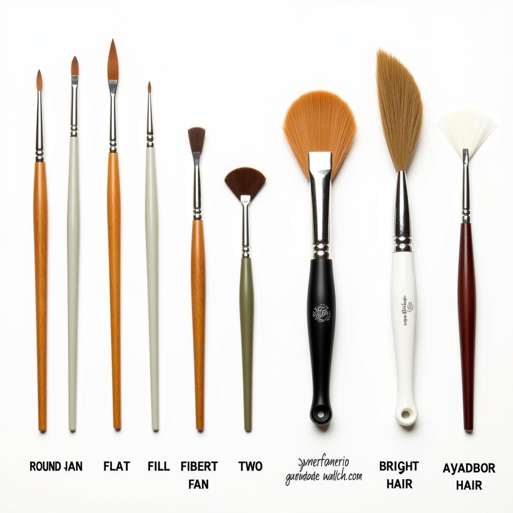 Different Types of Oil Painting Brushes