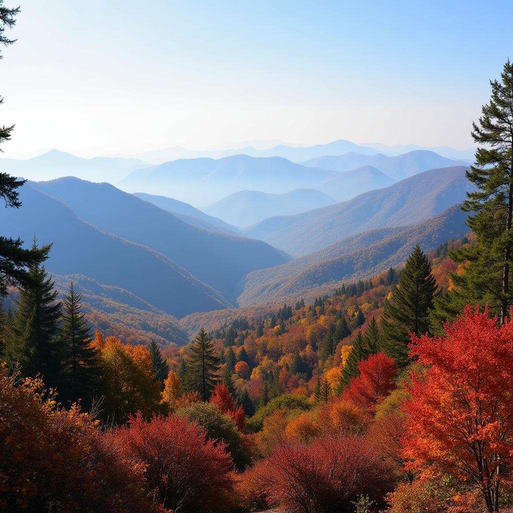 Georgia Blue Ridge Mountains Landscape Photography