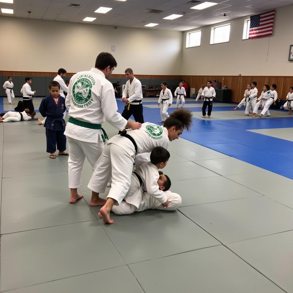 Judo Class in Cookeville