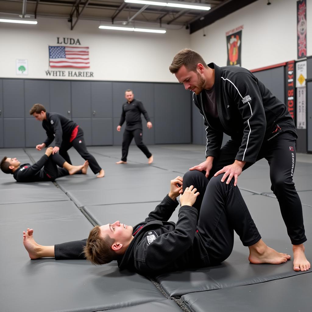 Brazilian Jiu-Jitsu Training in Kernersville NC