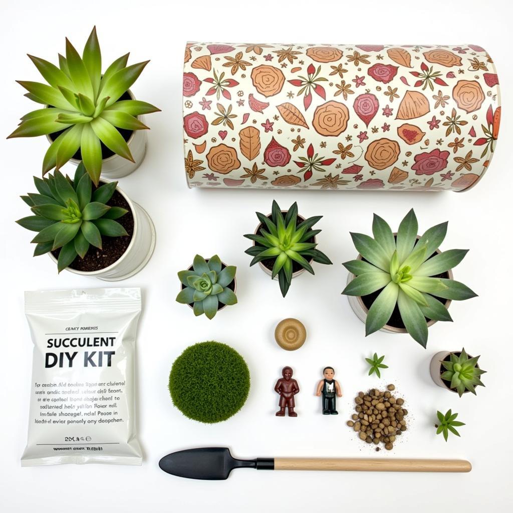 Living Art Succulent DIY Kit Components