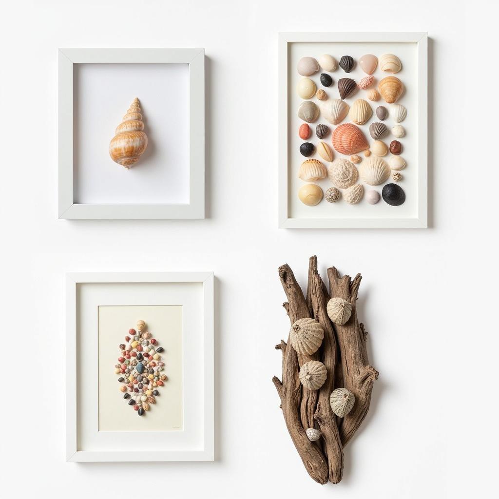 Different Styles of Seashell Framed Wall Art