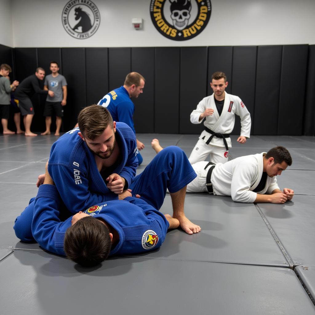 Brazilian Jiu-Jitsu Academy in Bremerton