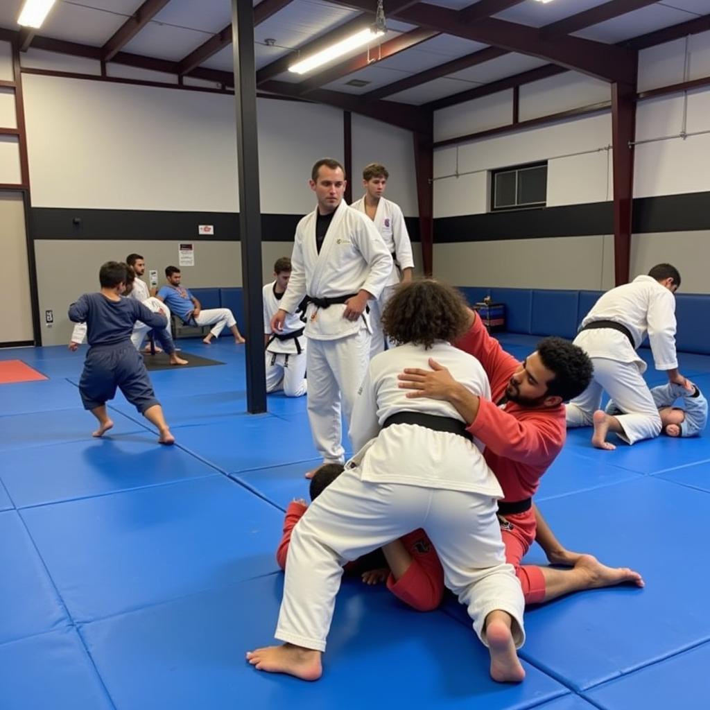 Brazilian Jiu-Jitsu Gym in Macon GA