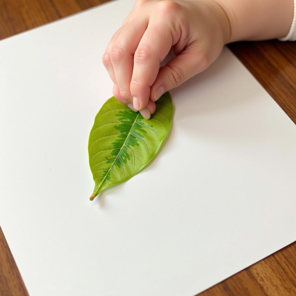 Leaf Rubbing Art Project for Infants