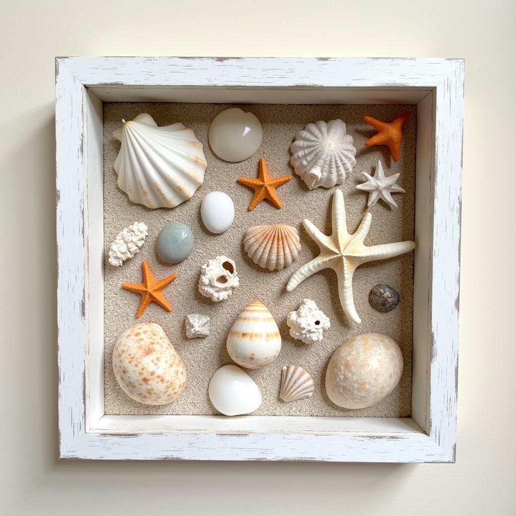 Seashells and Coral Framed Wall Art