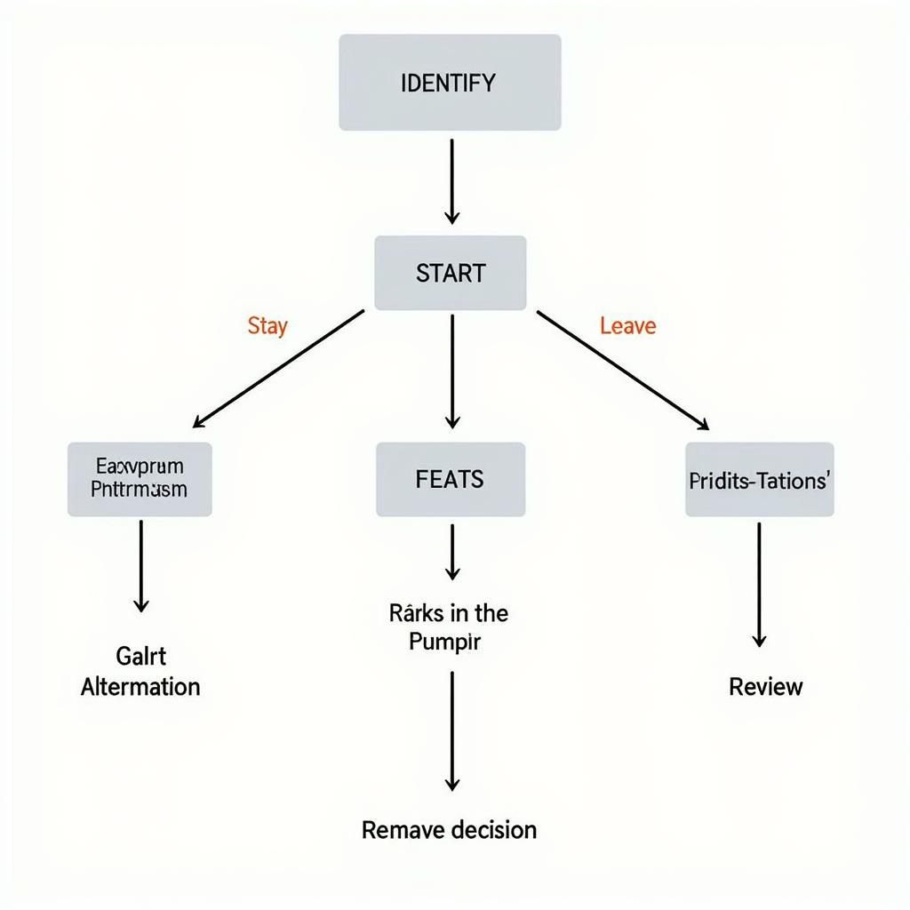 The Decision Making Process: Start, Stay or Leave