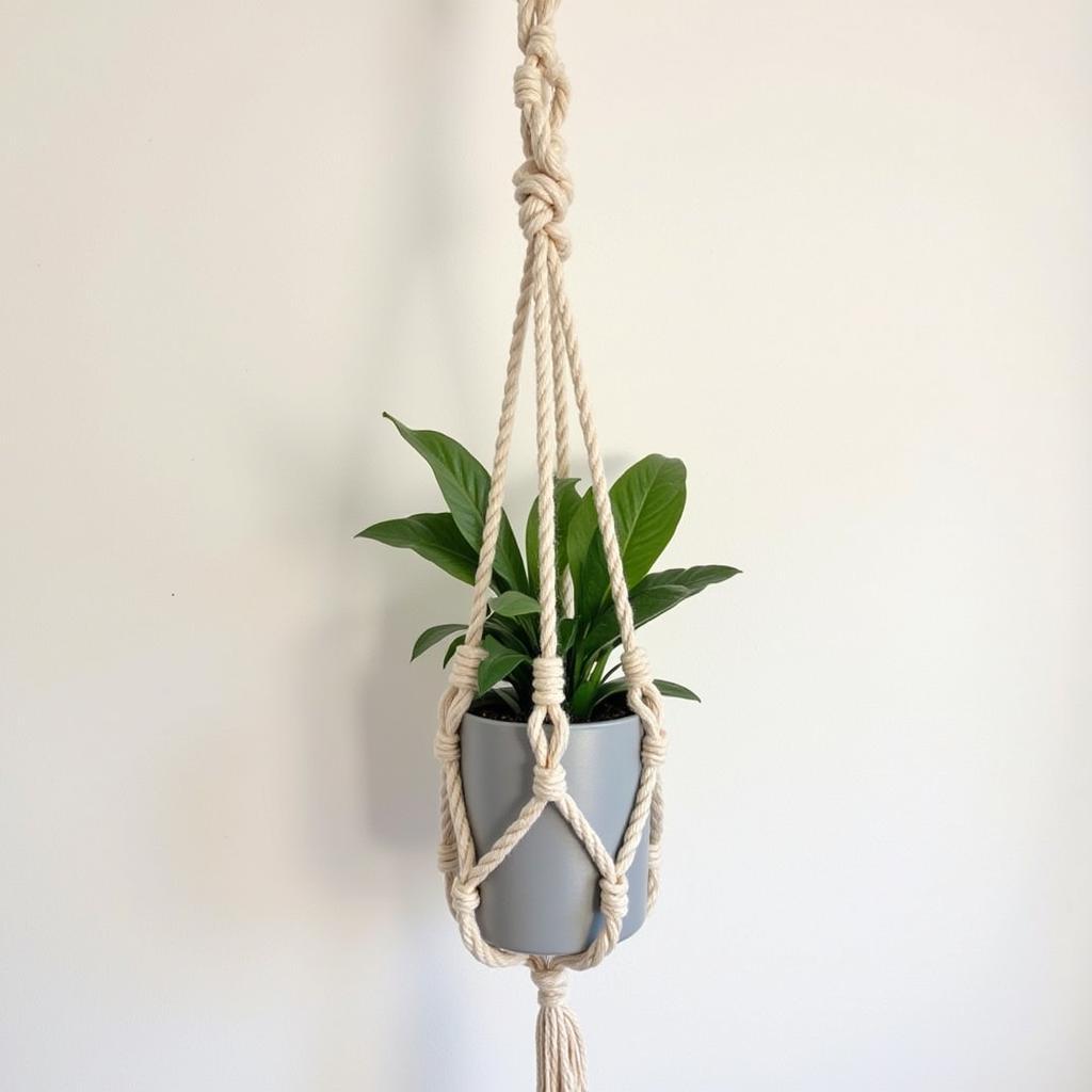 Beginner-friendly yarn art macrame cotton project showcasing a simple plant hanger