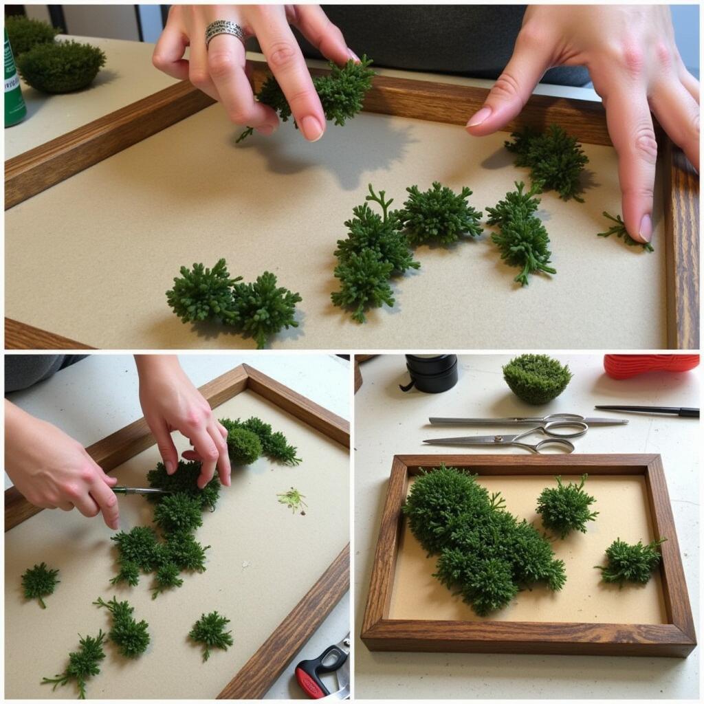 Creating DIY Moss Wall Art